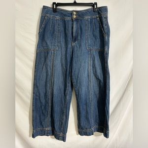 Pilcro and the Letterpress Blue Wide Leg Jeans